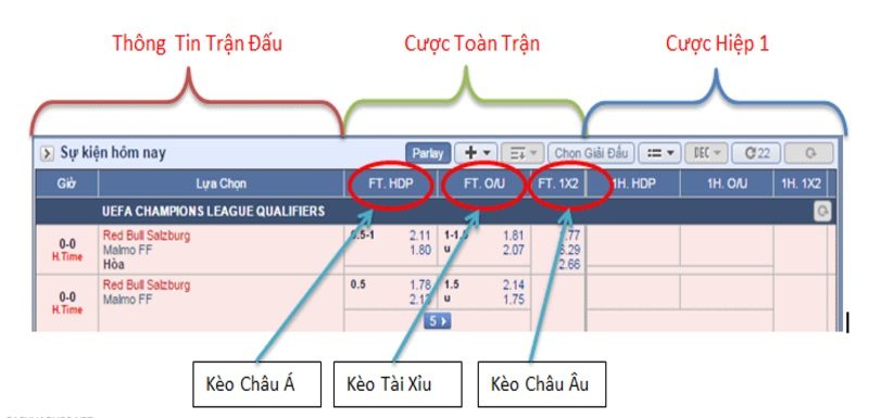 Các dạng kèo phổ biến trên trực tiếp bóng đá ColaTV